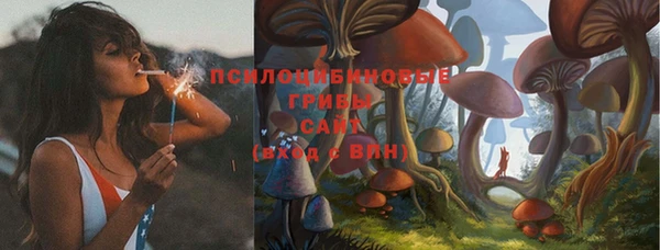 а пвп мука Белокуриха