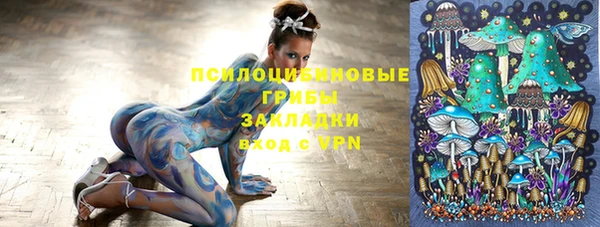 а пвп мука Белокуриха
