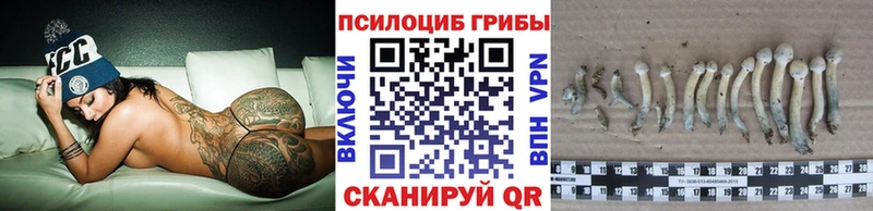 Галлюциногенные грибы GOLDEN TEACHER  сколько стоит  omg ссылки  Курильск 